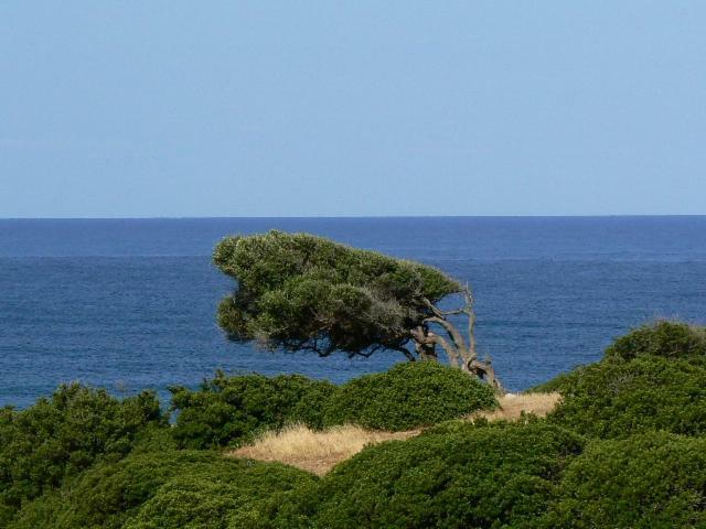Pianeta Sardegna Aparthotel Fluminimaggiore Eksteriør bilde